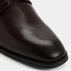 ALDO Dress Shoes|Oxfords^Allegro Dark brown