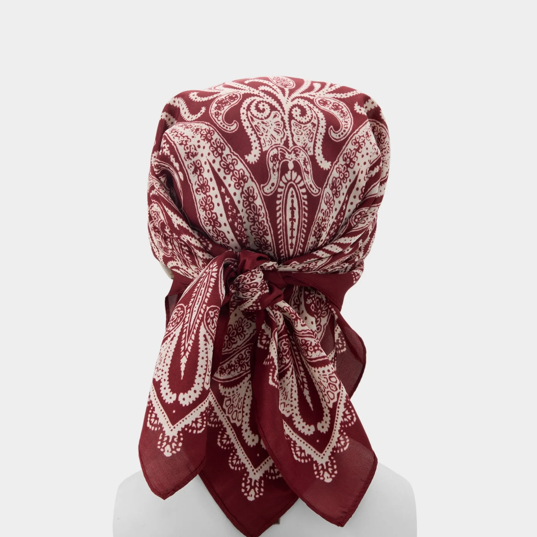 ALDO Accessories^Bernadete Bordo