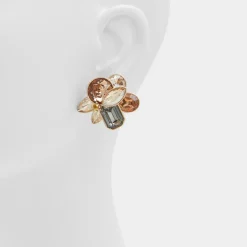 ALDO Accessories|Earrings^Brocla Light brown