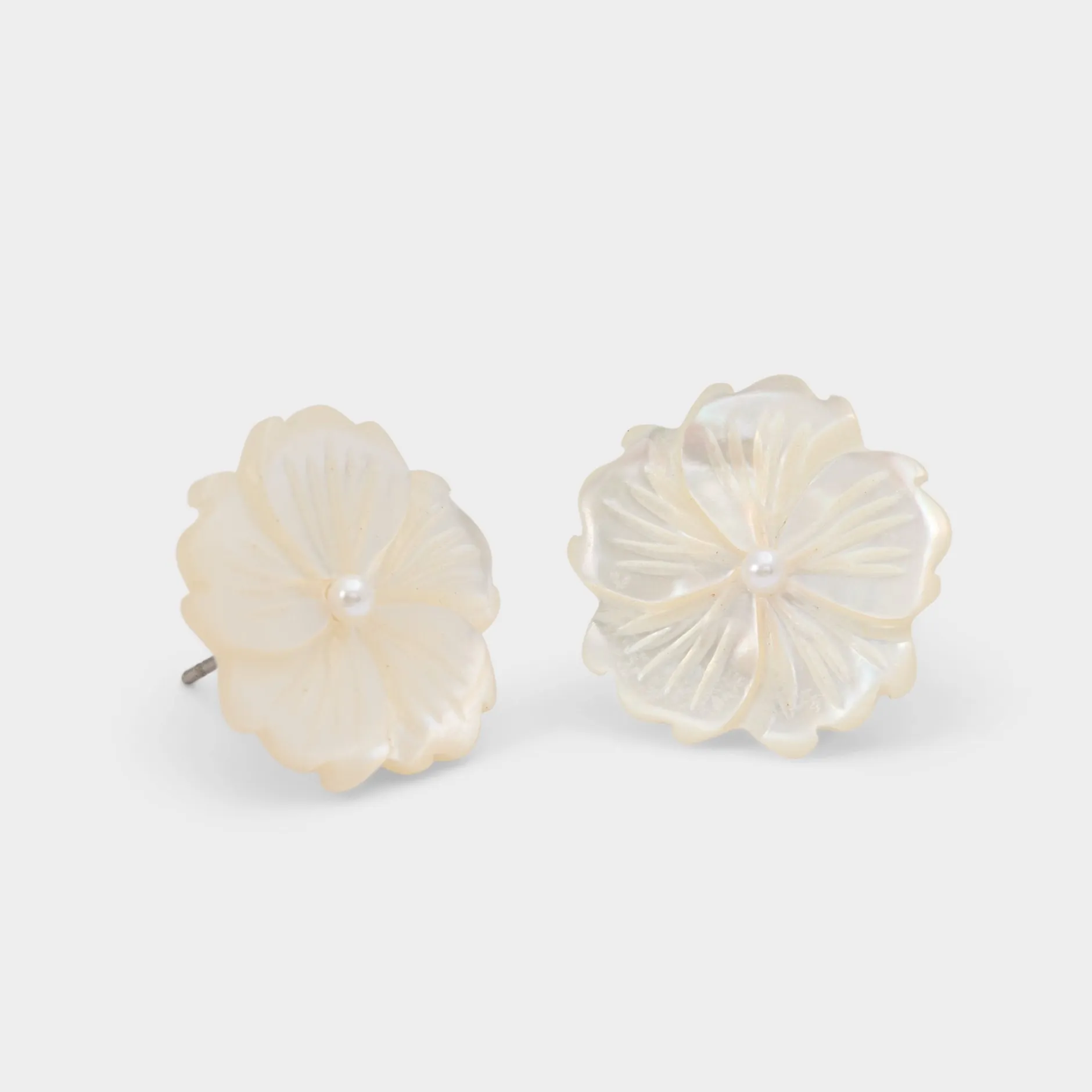 ALDO Accessories|Earrings^Camelliaa Ice