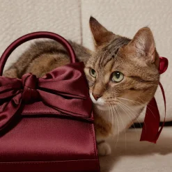 ALDO Bags^Decadencee Dark Red
