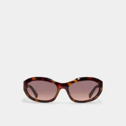 ALDO Accessories|Sunglasses^Edien Other Brown