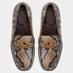 ALDO Loafers|Dress Shoes^Edouard Brown multi