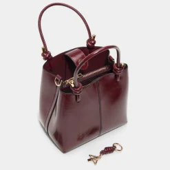ALDO Bags|Tote & Satchel Bags^Evielilyy Bordo