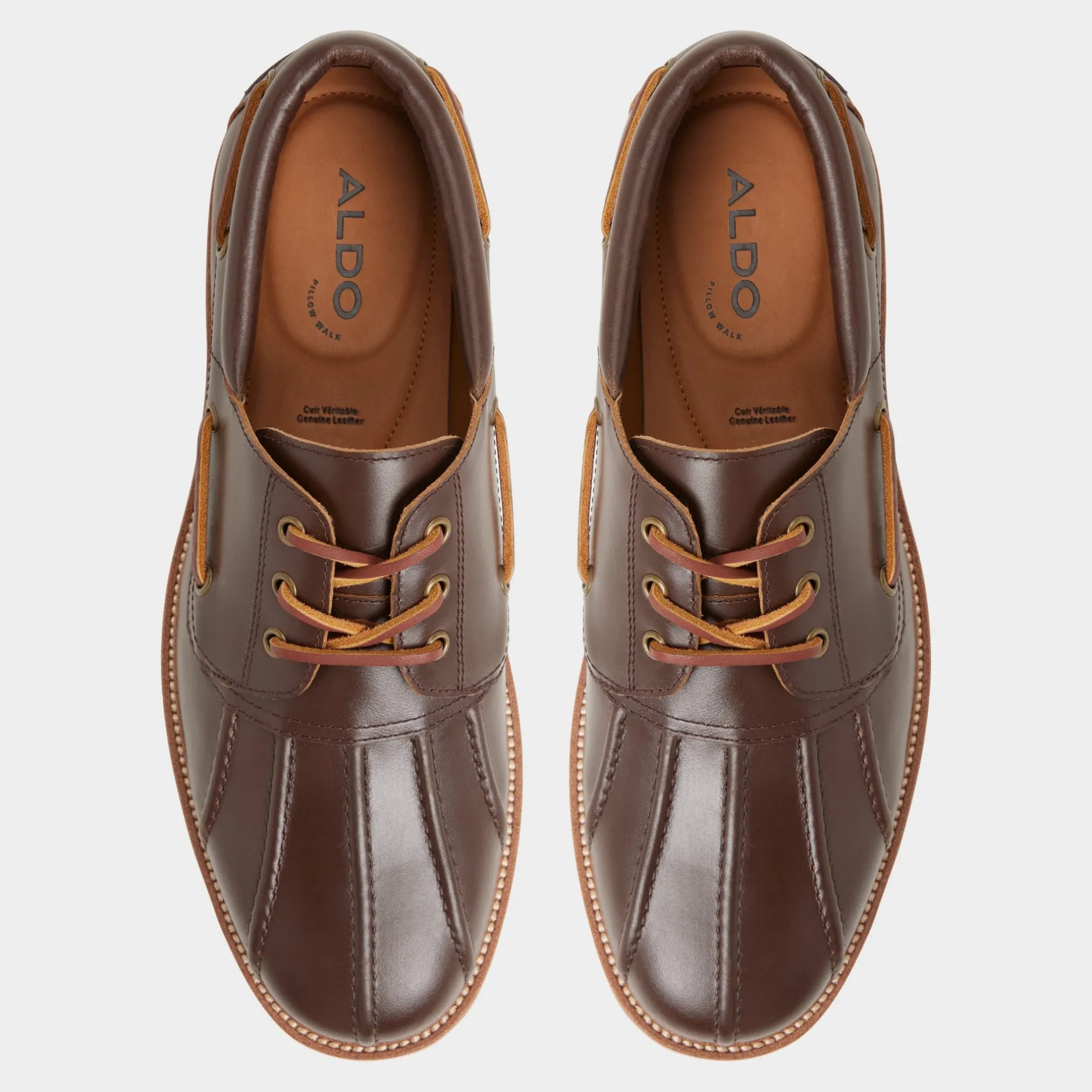 ALDO Casual Shoes^Finn