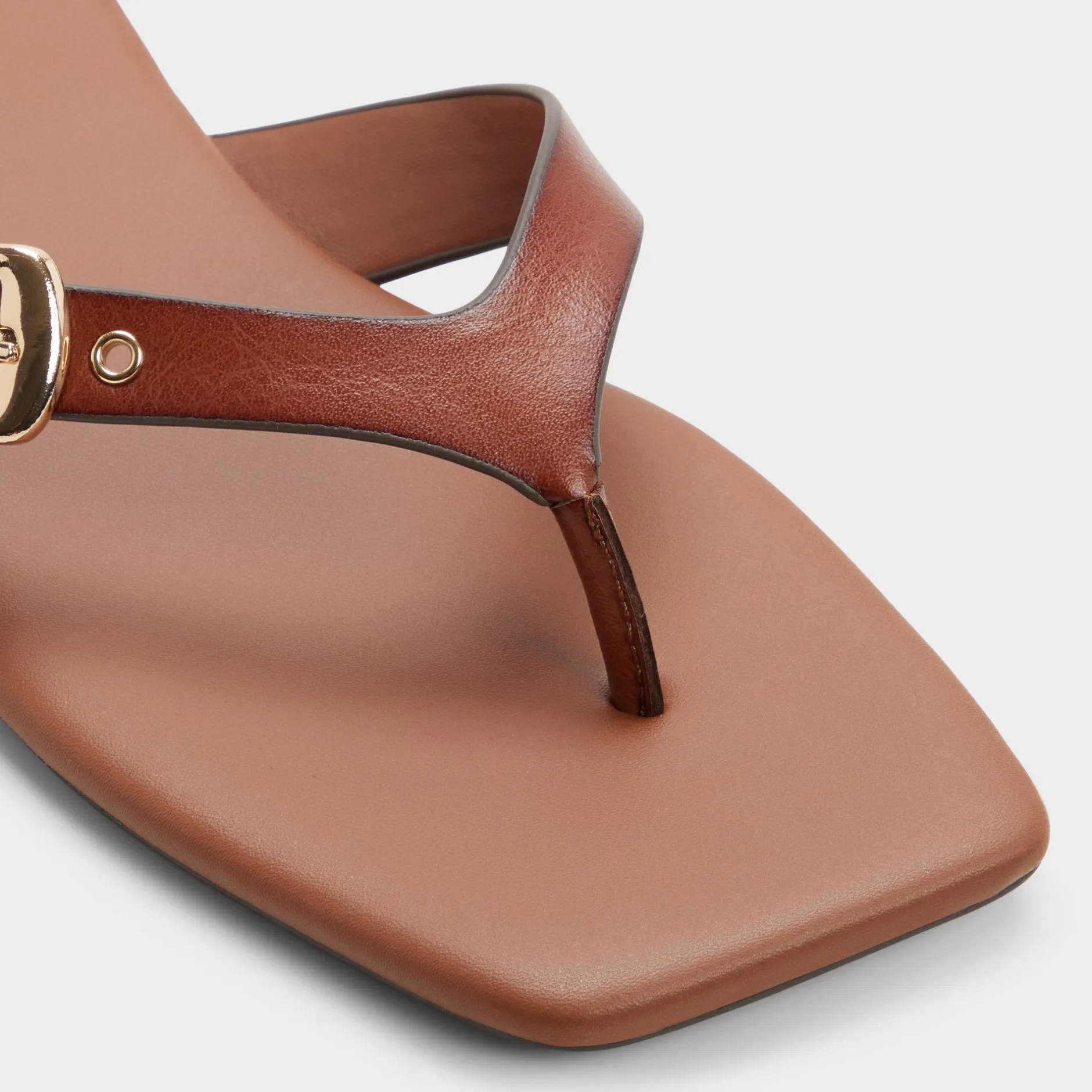 ALDO Thong Sandals|Flat Sandals^Leonnia Medium brown