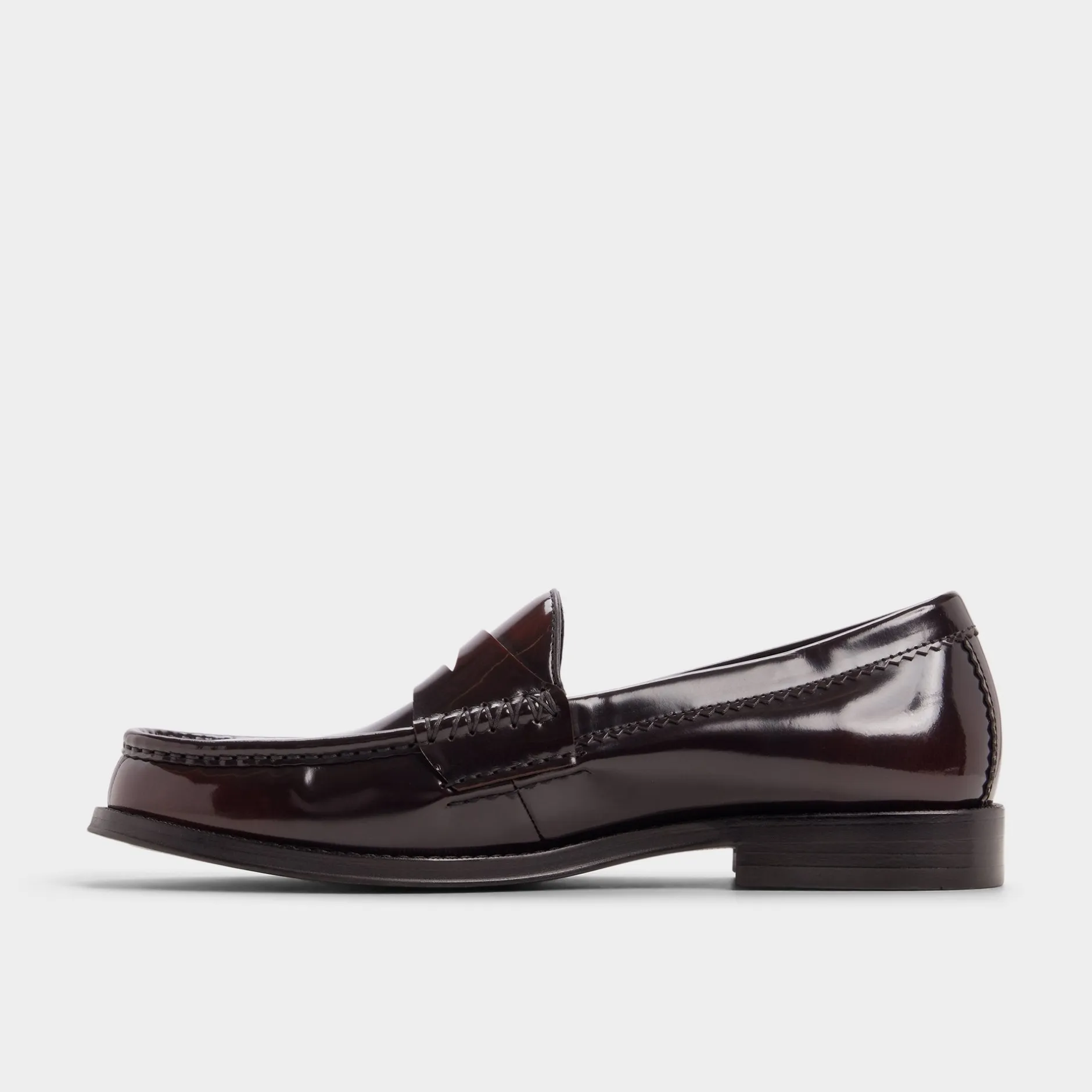 ALDO Loafers|Dress Shoes^Ludovik Bordo