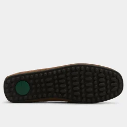 ALDO Loafers|Casual Shoes^Scuderiia-in Dark brown