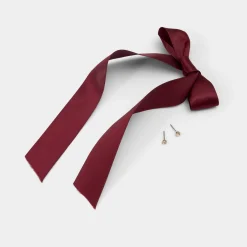 ALDO Bag Charms|Bag Charms^Tinnie Bordo